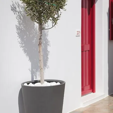 Apartahotel Katerina Mare Naousa (Paros)